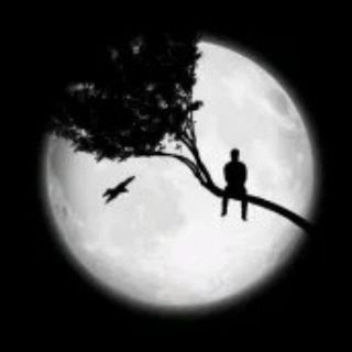 Telegram profile photo for اقتباسات حزينة 🖤