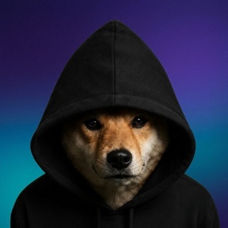 Telegram profile photo for Dog In Hoodie | Portal
