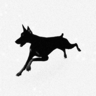 Telegram profile photo for Vapnation
