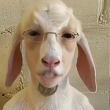 Telegram profile photo for А что скажешь ты?