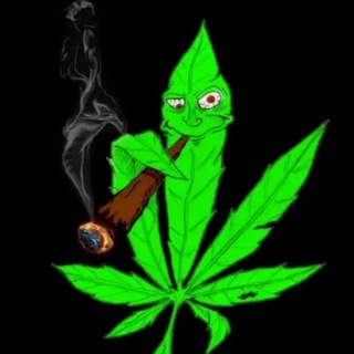 Telegram profile photo for Sam's Alpha Weed