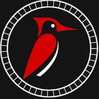 Telegram profile photo for فیلم و سریال بدون سانسور دارکوب