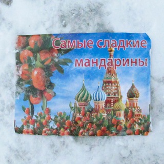 Telegram profile photo for "курьер был явно нетрезв"