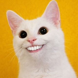 Telegram profile photo for AB INTRO