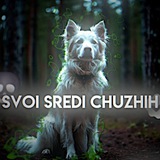 Telegram profile photo for 𝗦𝘃𝗼𝗶 𝘀𝗿𝗲𝗱𝗶 𝗰𝗵𝘂𝘇𝗵𝗶𝗵