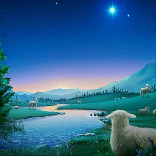 Telegram profile photo for DIALY BIBLE QUOTES