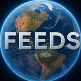 Telegram profile photo for Feeds (Angepint)