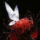 Telegram profile photo for Forever Lost