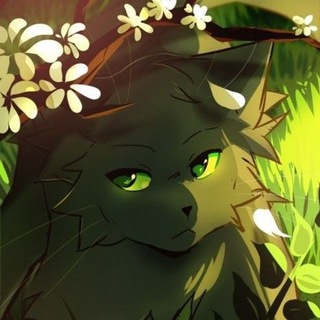 Telegram profile photo for Info | "4 flood trees" 🌿