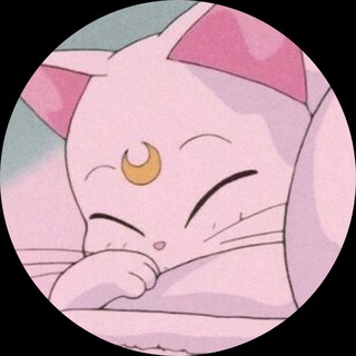 Telegram profile photo for meowpanel