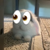 Telegram profile photo for Викс результаты ассоциаций