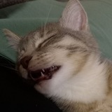 Telegram profile photo for роскошь