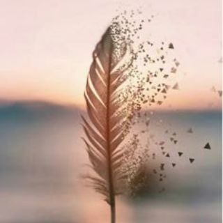 Telegram profile photo for ﭐٲجـڕ لـيُ ۄلـڪمْ 🌿