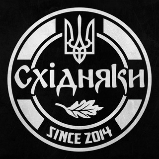 Telegram profile photo for Волонтерська група "Східняки"