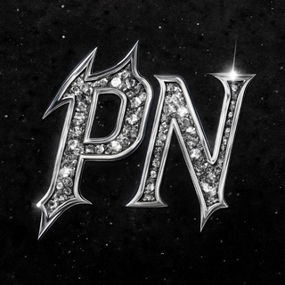 Telegram profile photo for شاهین پی ان - SH4HIN PN