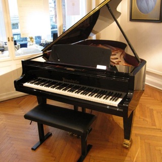 Telegram profile photo for Music class videos