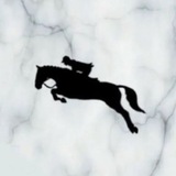 Telegram profile photo for Horse Delights🤍