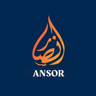 Telegram profile photo for ANSOR ARXIV