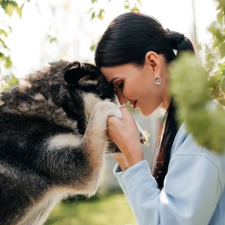 Telegram profile photo for 🇷🇺 без бездомных животных