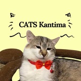 Telegram profile photo for Кошачья Кантима 🐈🐈⬛