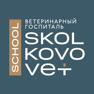 Telegram profile photo for Skolkovo Vet School 🎓