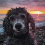 Telegram profile photo for диджей арбуз🍉