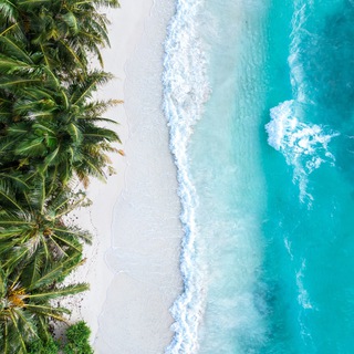 Telegram profile photo for МАЛЬДИВЫ | FORUM Maldives
