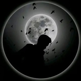 Telegram profile photo for MY BLOG