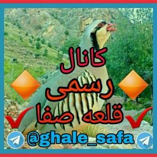 Telegram profile photo for ✔''قلعه صفا"✔