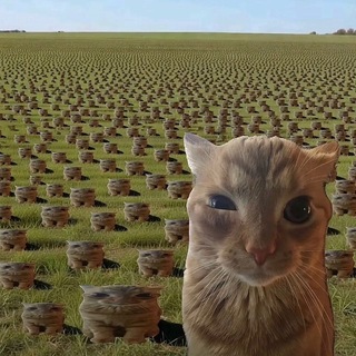 Telegram profile photo for krowatka реальный