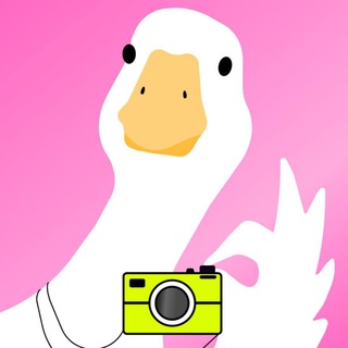 Telegram profile photo for Content Place | Съемки для бизнеса и маркетплейсов Екатеринбург content_placeekb