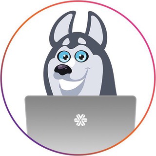 Telegram profile photo for SW_Chelyabinsk_LIVESTORE