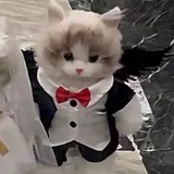 Telegram profile photo for Отзывы тапка