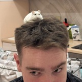 Telegram profile photo for Trebzy
