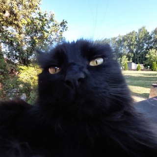 Telegram profile photo for ЛЮБЛЮ ЛЯГУЩЕК