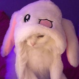 Telegram profile photo for Красивое