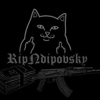 Telegram profile photo for RipNdipovskiy Stack