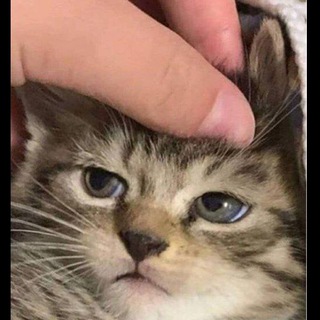 Telegram profile photo for 💜Все для твоей инст 💜