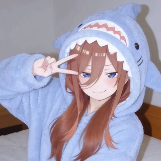 Telegram profile photo for 小乖主频道