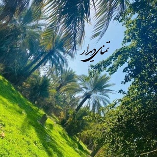 Telegram profile photo for تمنای دیدار...🕊