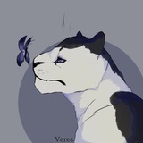 Telegram profile photo for Подвал Veres