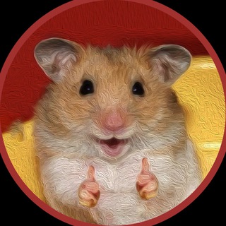 Telegram profile photo for HamsterChamp