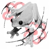 Telegram profile photo for ✧ чирфулфрог таттс ✧