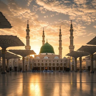 Telegram profile photo for مفيد | Mufiyd
