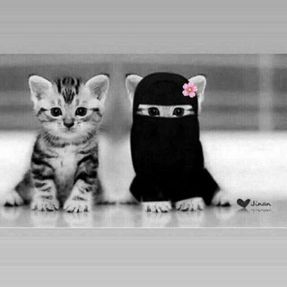 Telegram profile photo for ايكادولي 💜."