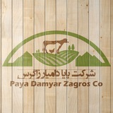 Telegram profile photo for شرکت پایا دامیار زاگرس