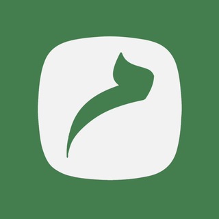 Telegram profile photo for گــروه رسانه ای معبــر مدیـا