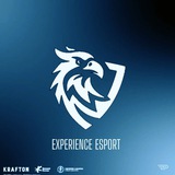 Telegram profile photo for RESULTE EXPERIENCE