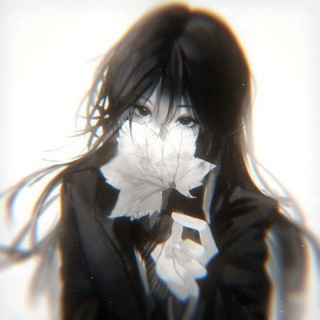 Telegram profile photo for ...