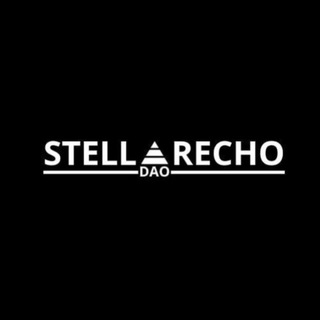Telegram profile photo for StellarEcho DAO
